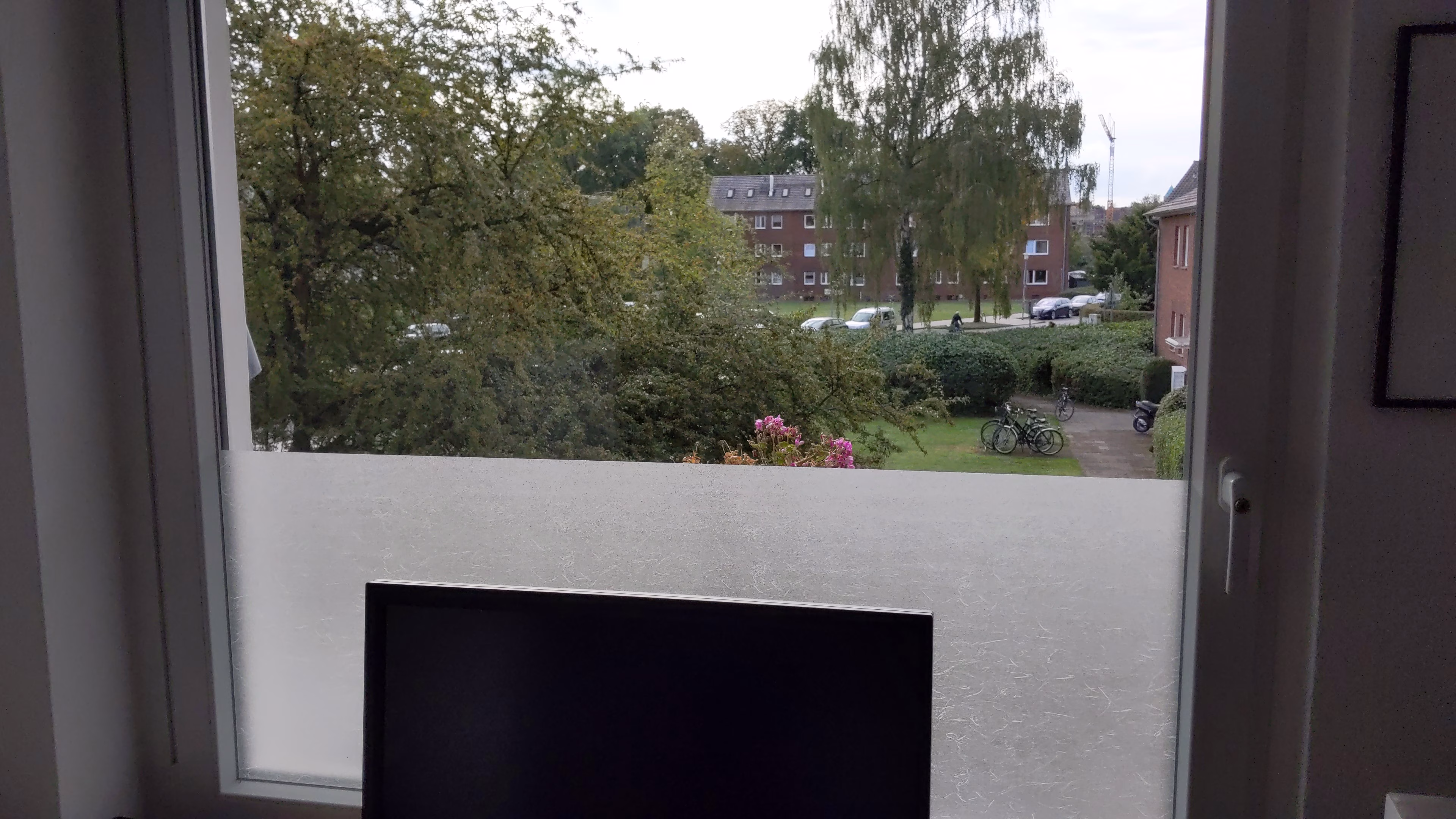 Adhäsionsfolie in Faseroptik halbhoch auf Fensterscheibe montiert Adhäsionsfolie in Faseroptik halbhoch auf Fensterscheibe montiert