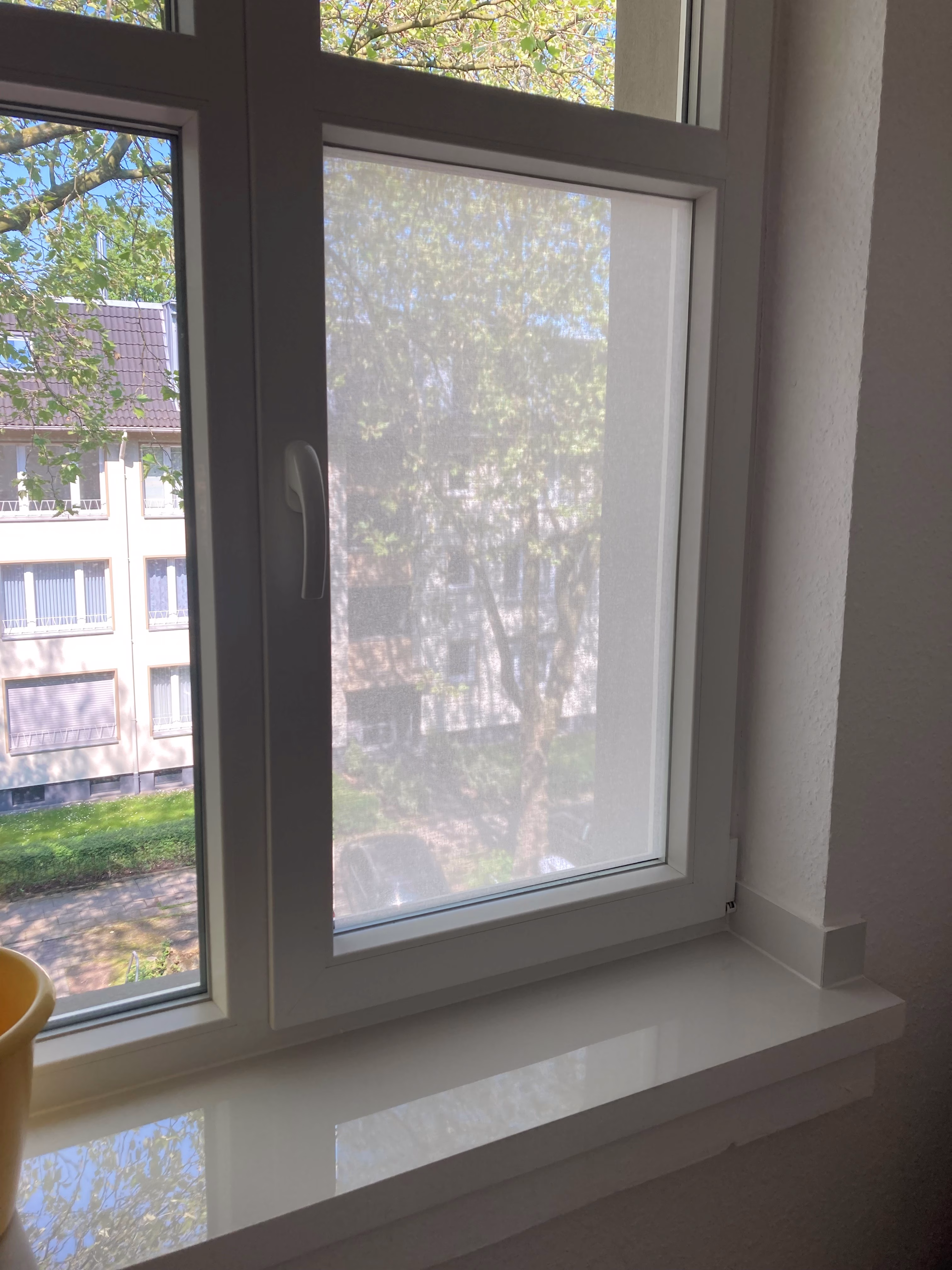 Chalk Squid Textilgewebe Fensterfolie Chalk Squid Textilgewebe Fensterfolie
