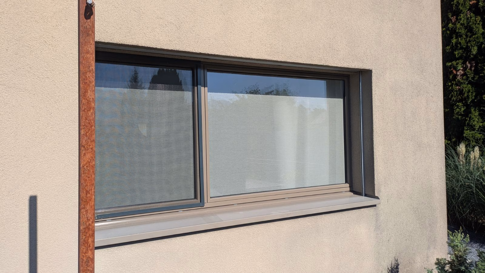 Außenansicht von Squid transparent weiß auf einem Doppelfenster Außenansicht von Squid transparent weiß auf einem Doppelfenster