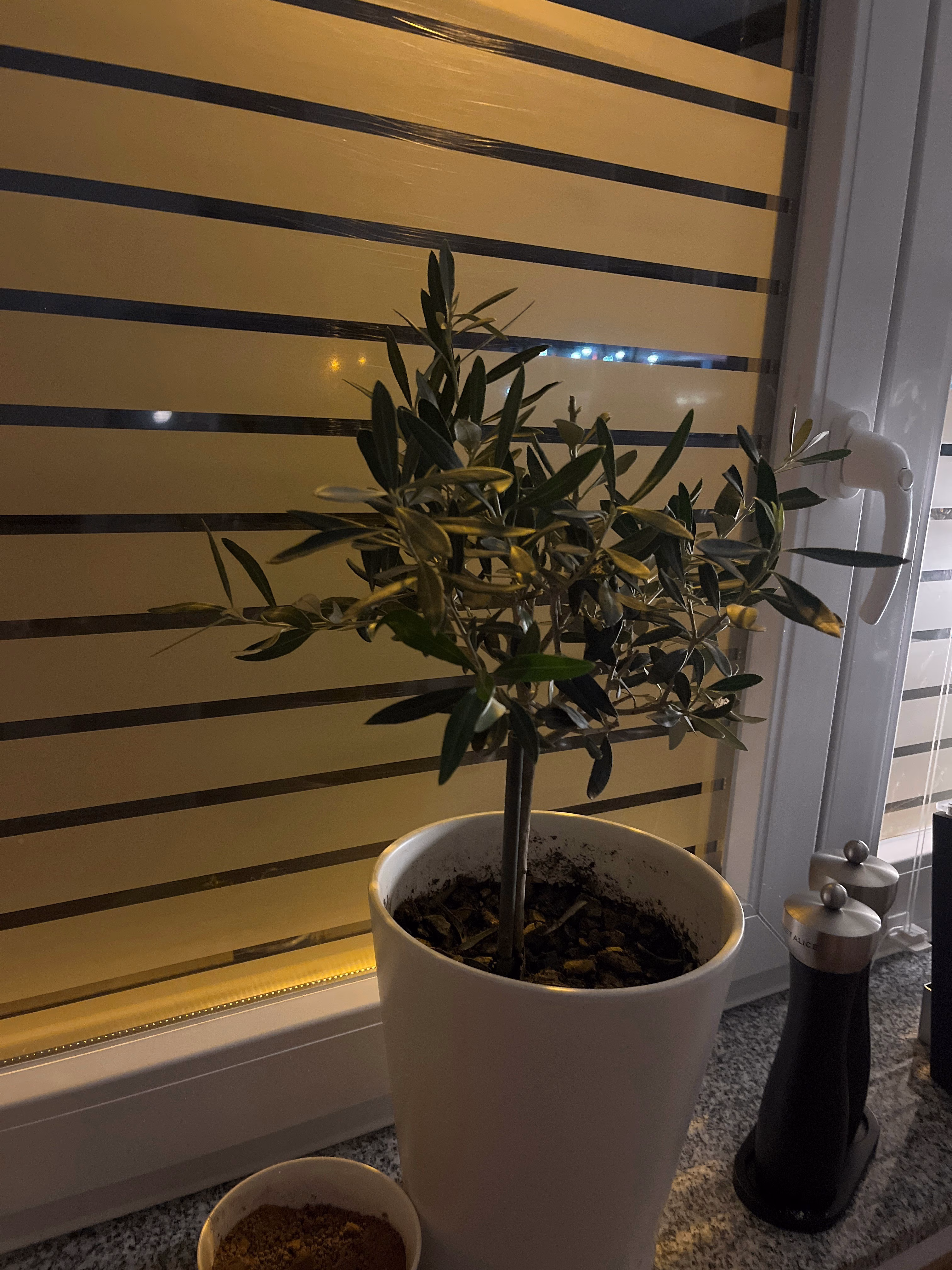 Streifenfolie bei Nacht Streifenfolie bei Nacht