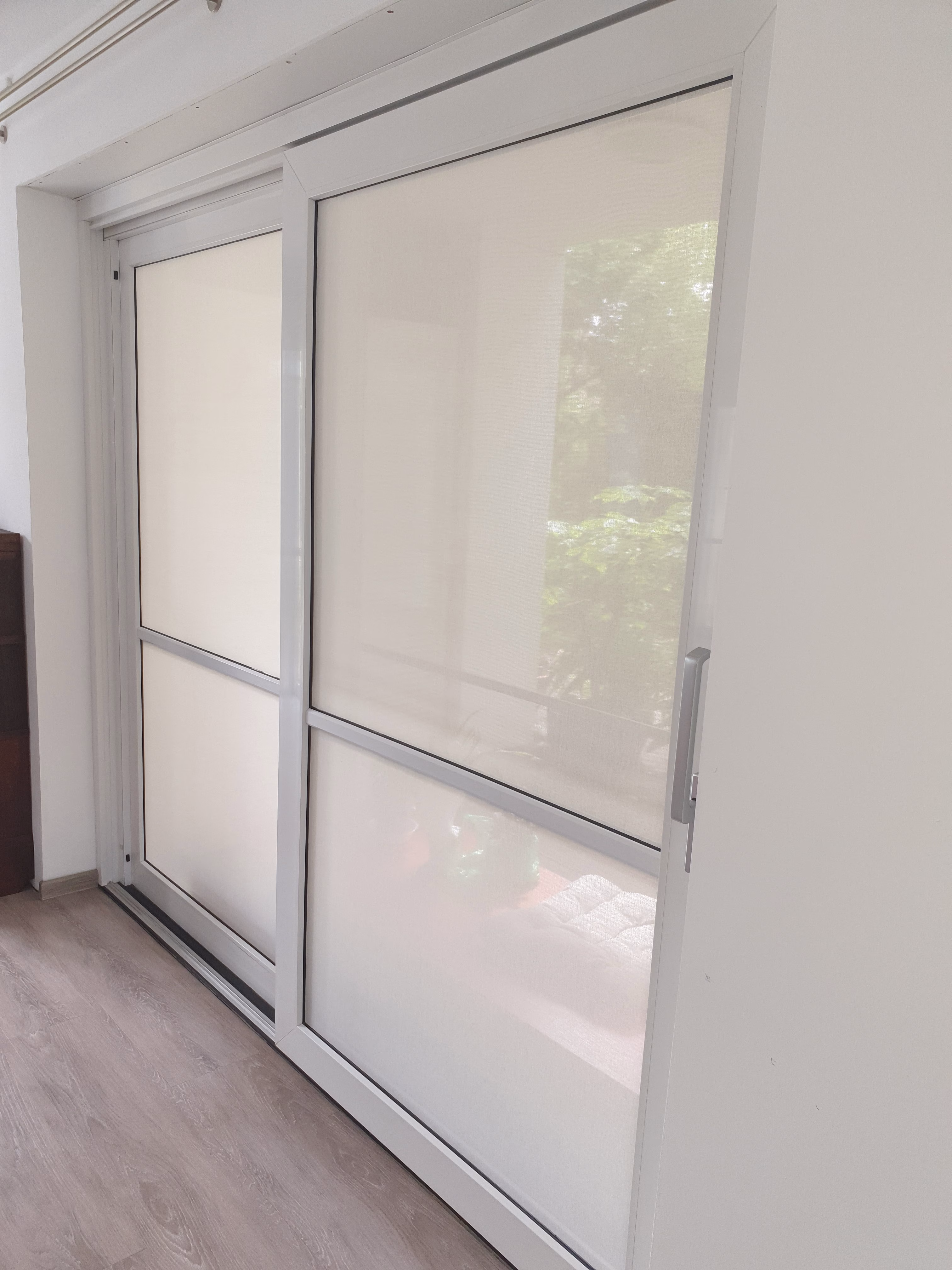 Squid: Der selbstklebender Fensterbehang Squid: Der selbstklebender Fensterbehang