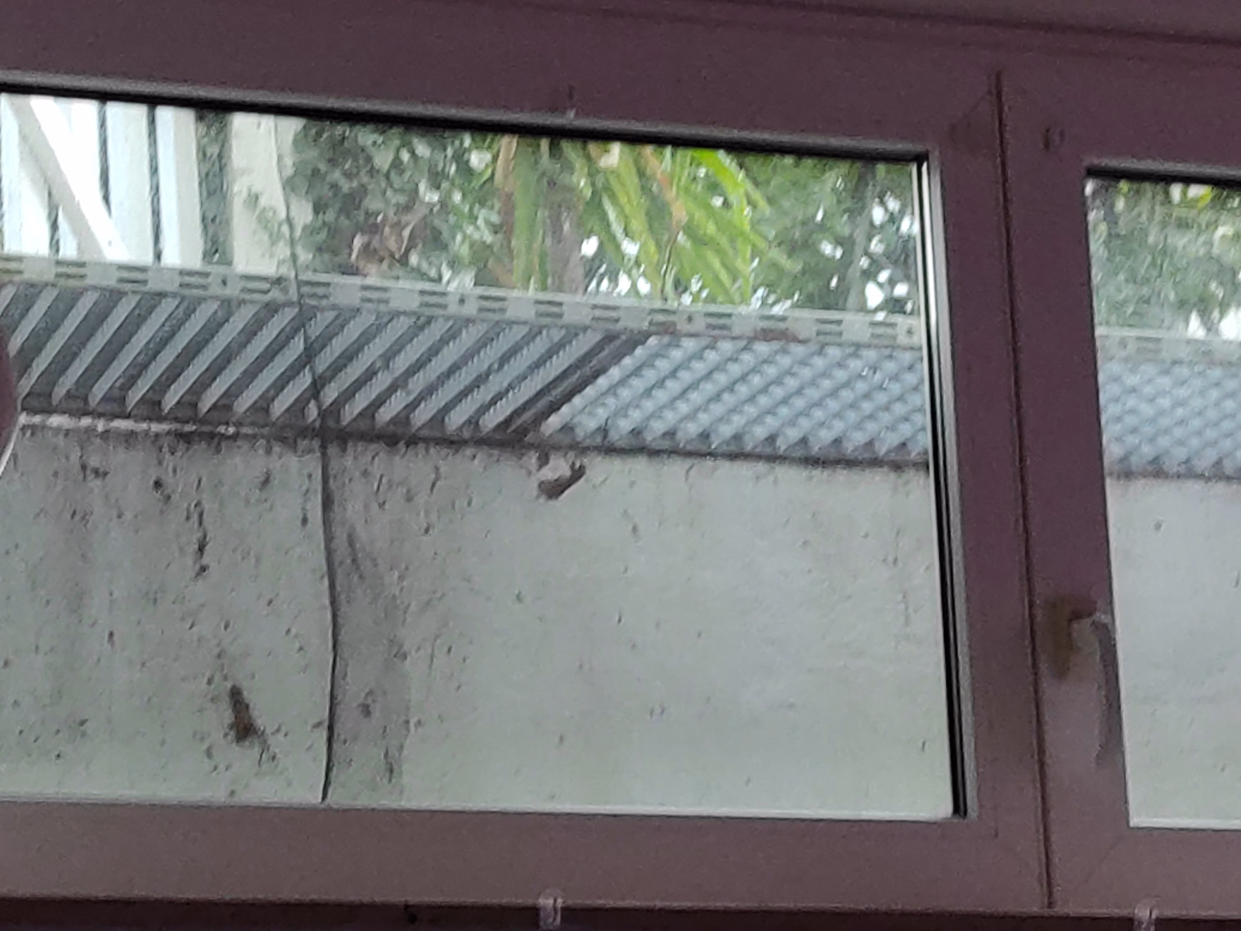 Spiegelfolie auf einem Flügelfenster im Souterrain Spiegelfolie auf einem Flügelfenster im Souterrain