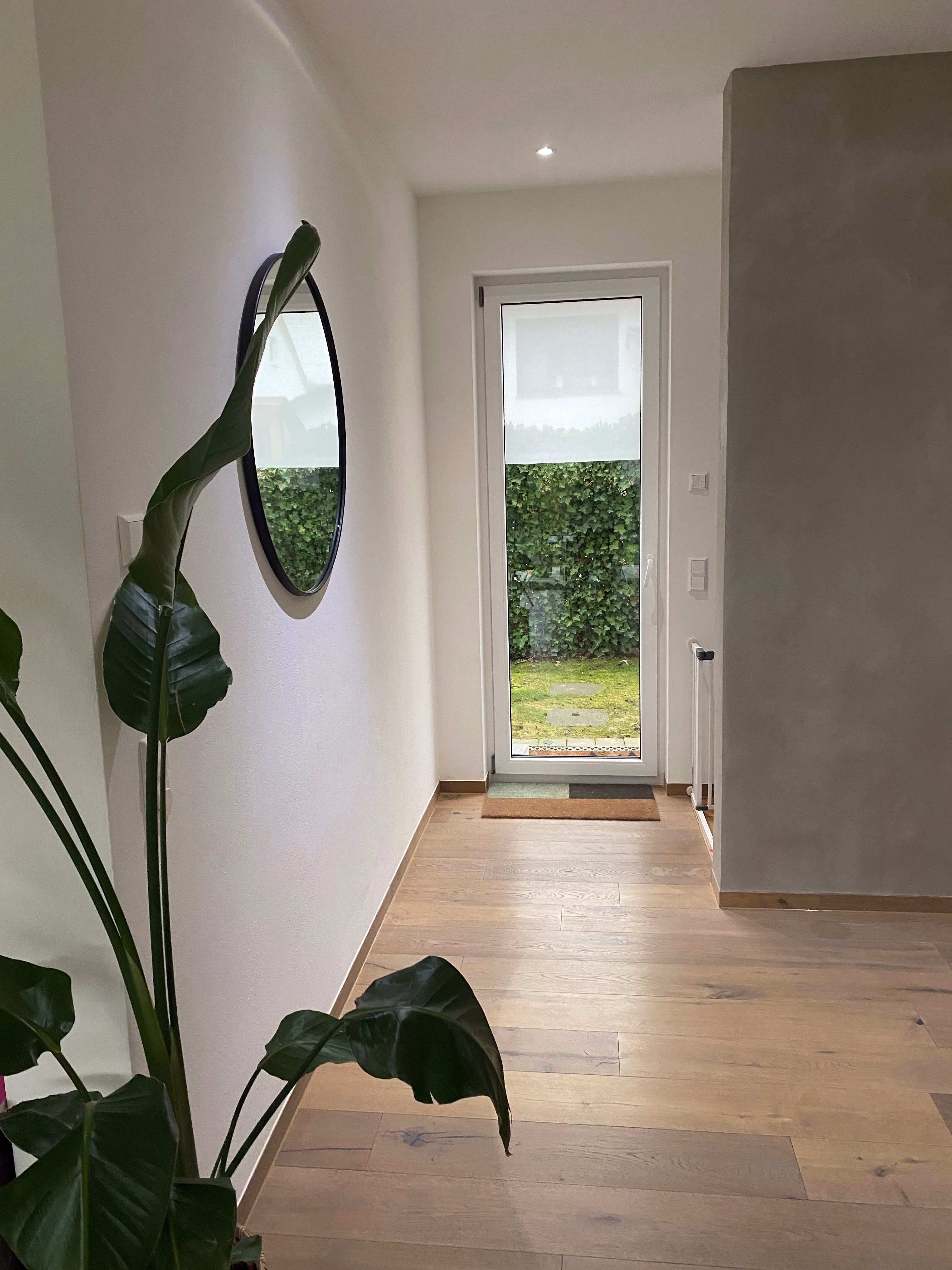 Maze Pearl auf einer bodentiefen Glastür