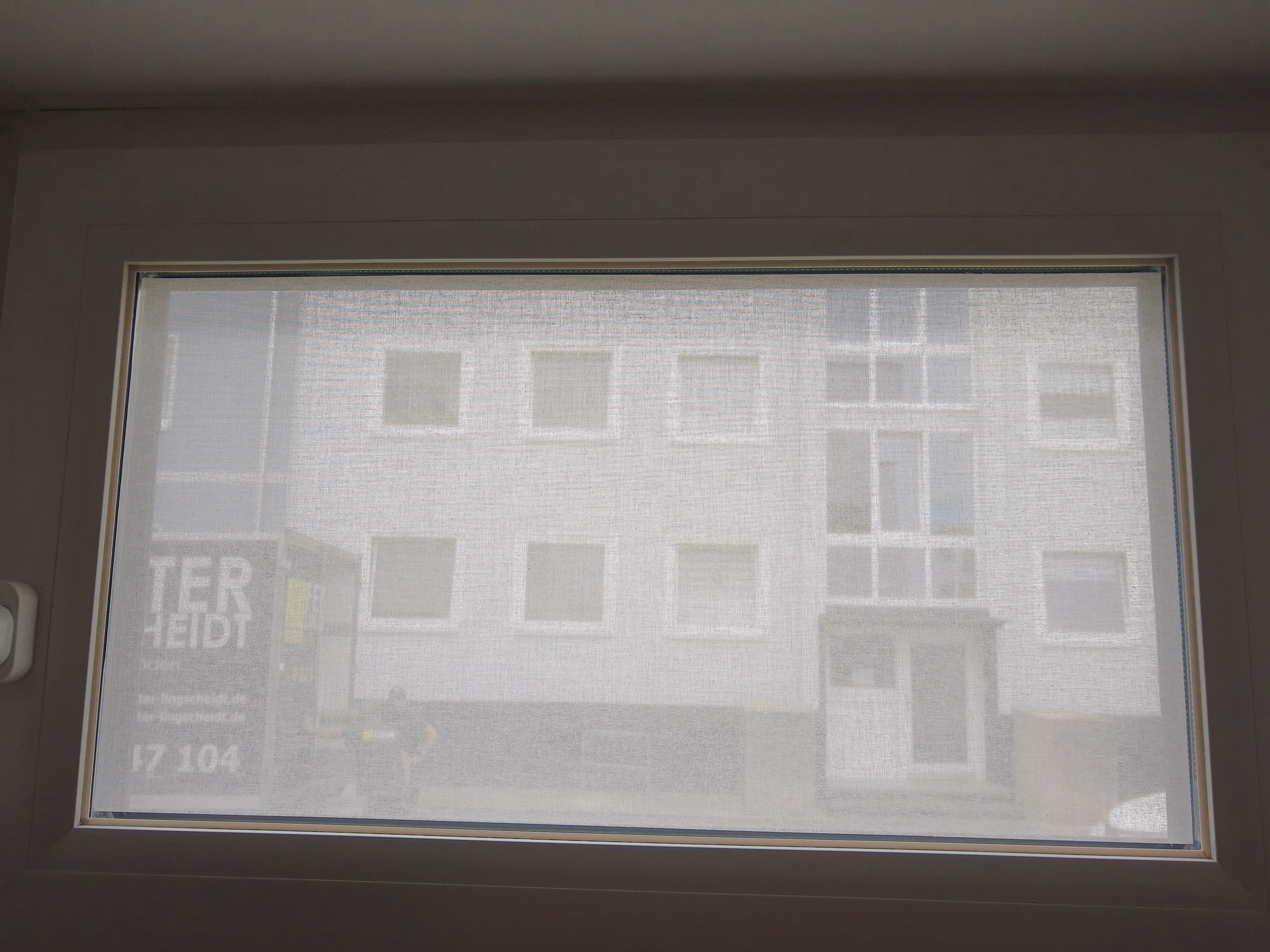 Innenansicht Squid Fensterfolie im Farbton Chalk Innenansicht Squid Fensterfolie im Farbton Chalk