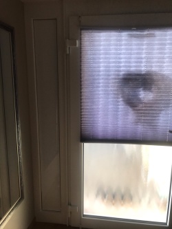 Weiße Verdunkelungsfolie auf dem Seitenfenster einer Tür angebracht