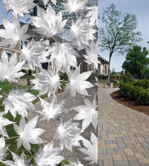 Decorative film, white maple leaves