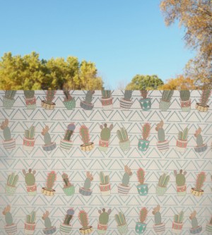 Adhesive film, cactus