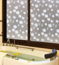 Adhesive film, transparent matt with dandelions