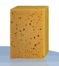 Sponge