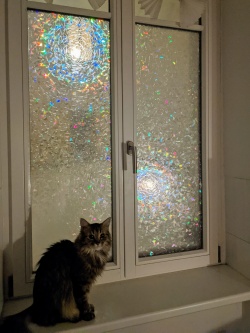 Adhäsionsfolie erzeugt Regenbogeneffekt mittels Lichtquellen bei Dunkelheit