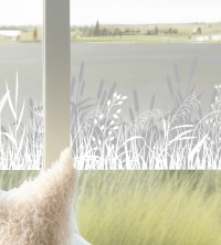 Adhesive windowfilm, reed