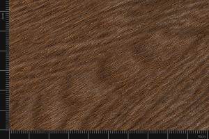 Walnut, adhesive foil in wood look