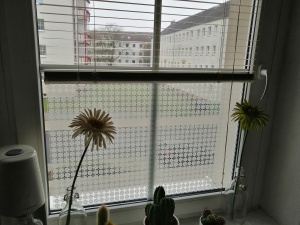 Dekorfolie weiße Rauten mit Blättermotiv auf einem Fenster