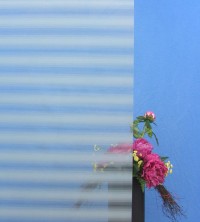 Decorative film, horizontal white stripes of different widths