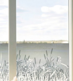 Adhesive windowfilm, reed