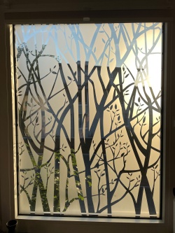 Sichtschutzfolie mit Herbstwald Motiv